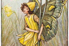 Illustration for the Daffodil Fairy from Flower Fairies of the Spring. A girl fairy stands holding two daffodils, one in flower and one in bud. 300.1.8 FF Spring 8 1923