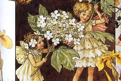 cicely barker_the guelder rose fairy_med (Copy)