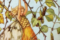 da1bc99d99ec70274fa790ef0d5b1ab4--cicely-mary-barker-vintage-fairies (Copy)