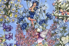 dm3881_periwinkle_3 (Copy)