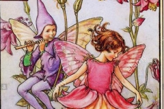 flower-fairies-illustration-by-cicely-mary-barker-the-columbine-fairy-DGXE87 (Copy)