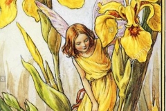flower-fairies-illustration-by-cicely-mary-barker-the-iris-fairy-1934-DGX767 (Copy)
