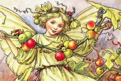 flower-fairies-illustration-by-cicely-mary-barker-the-white-bryony-DGWPPE (Copy)